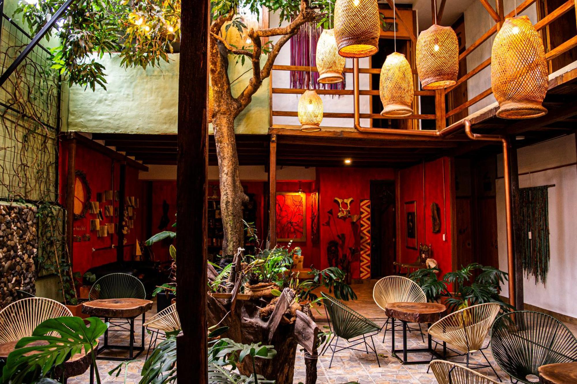 Hotel Refugio Del Jaguar Medellín Zewnętrze zdjęcie